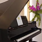 Marini